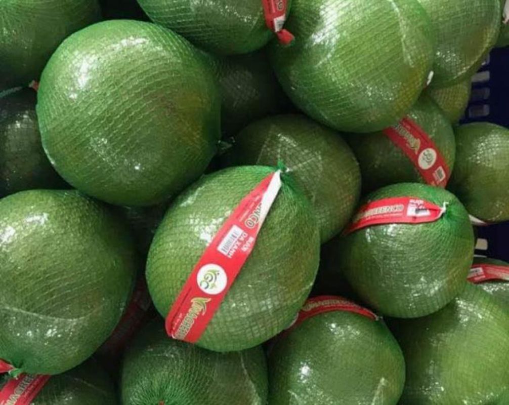 Photograph the lush allure of Hau Giang’s Mekong Delta