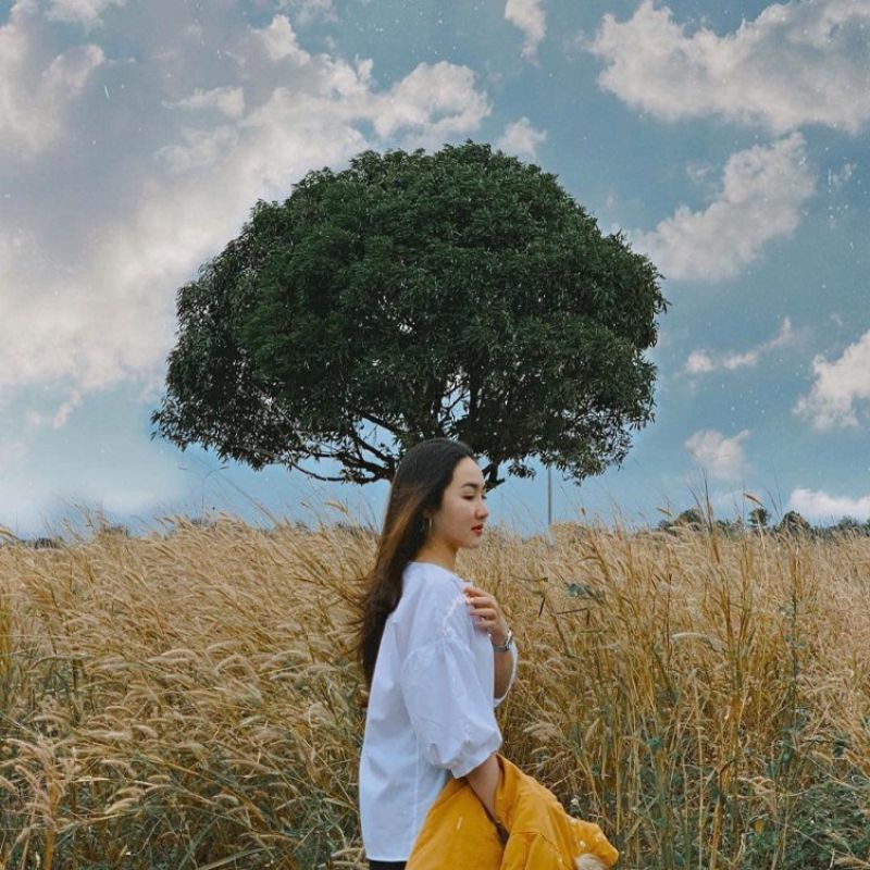 Start your Buon Ma Thuot Travel with tranquil vibes