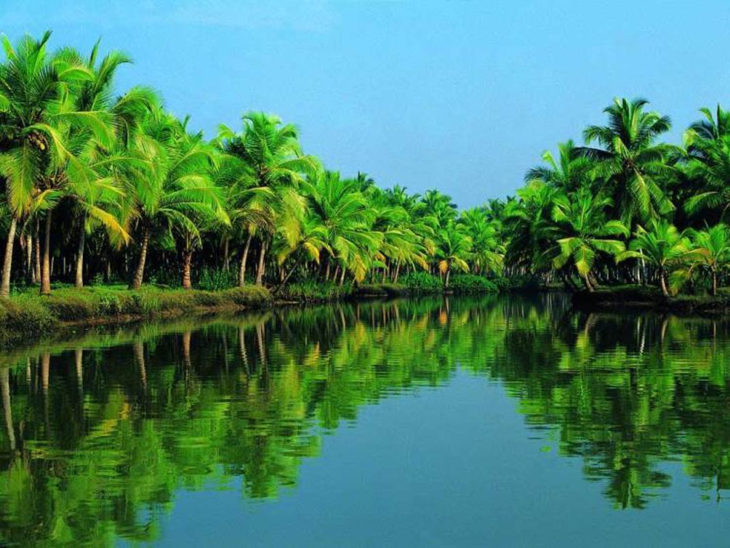 Start your Ben Tre Travel with tranquil vibes
