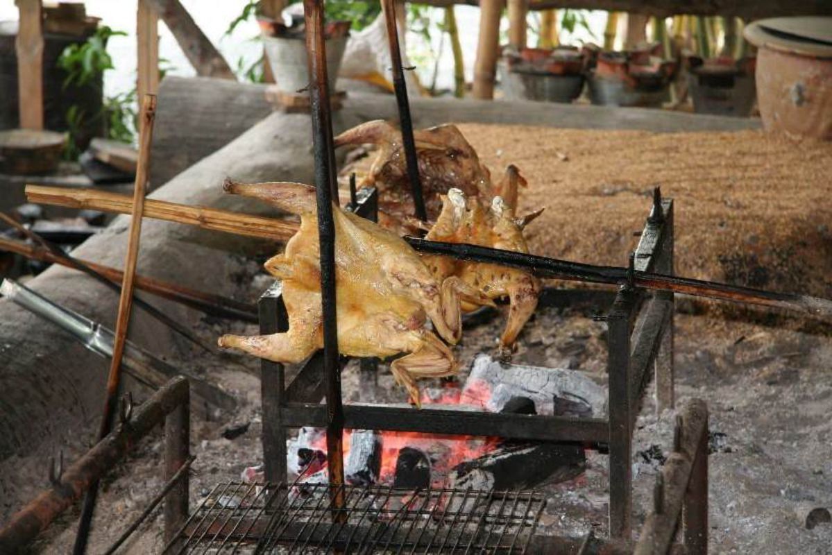 Embrace the vibrant spirit of Dak Lak Travel adventures