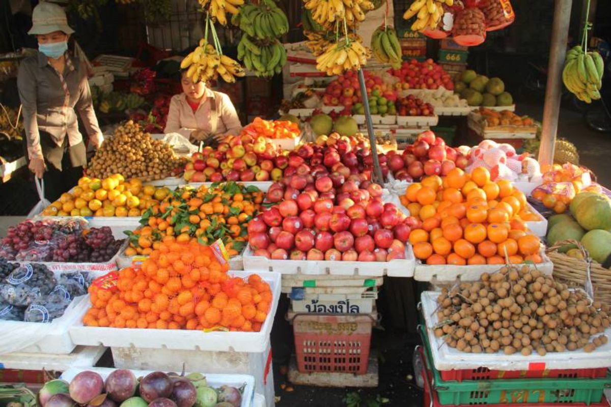 Experience Phnom Penh Tours with sustainable adventures