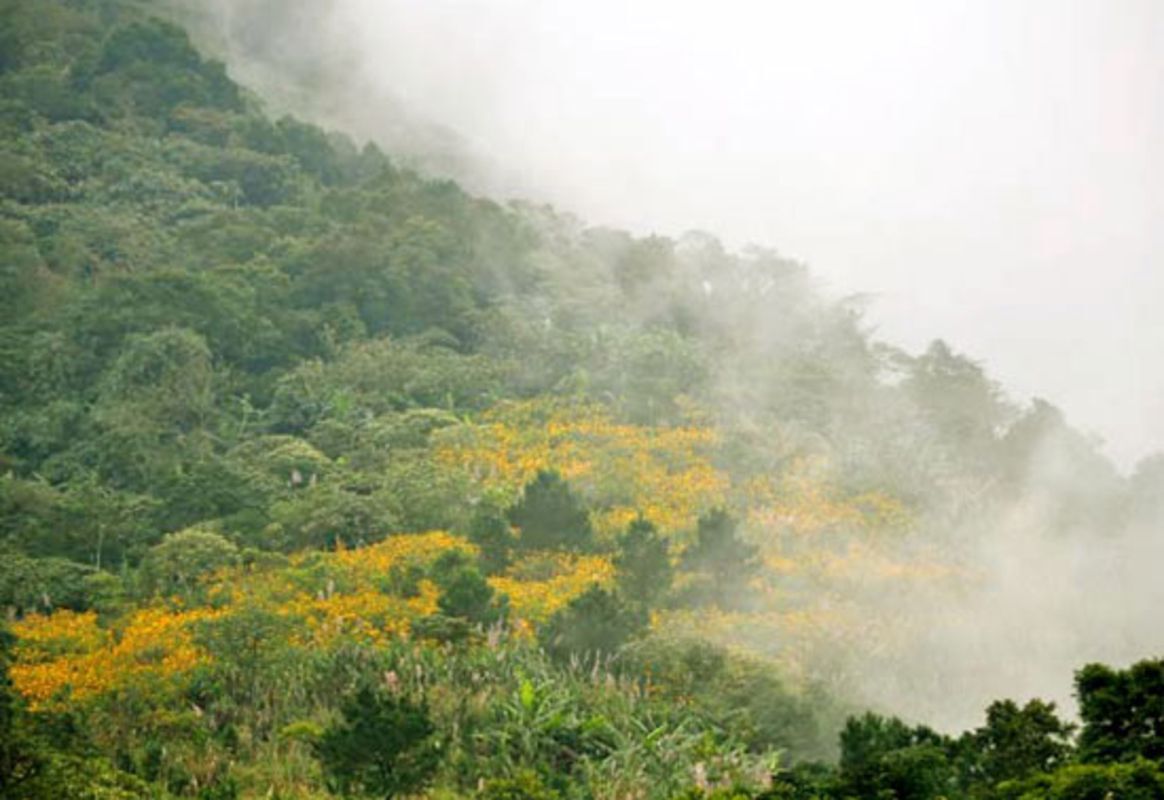 Dive into the adventurous charm of Hanoi Travel
