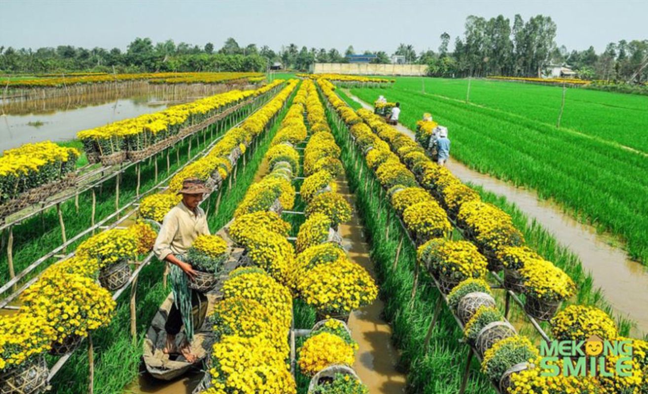 Capture the festive energy of Can Tho’s cultural gem