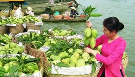 Dive into the natural charm of Vinh Long Travel