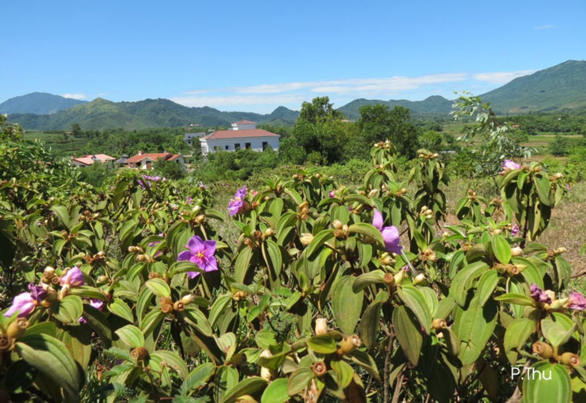 Start your Hanoi Travel with serene vistas