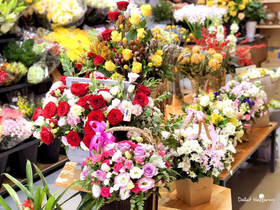 Seize the vibrant spirit of Da Lat Travel