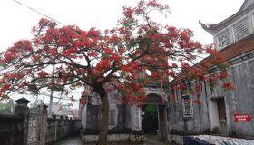 Experience Thai Binh Tours with sustainable adventures