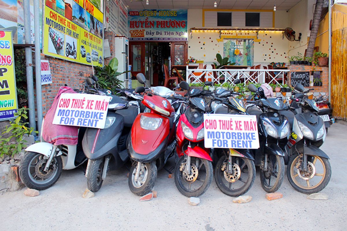 Photograph the vibrant allure of Lam Dong’s local life