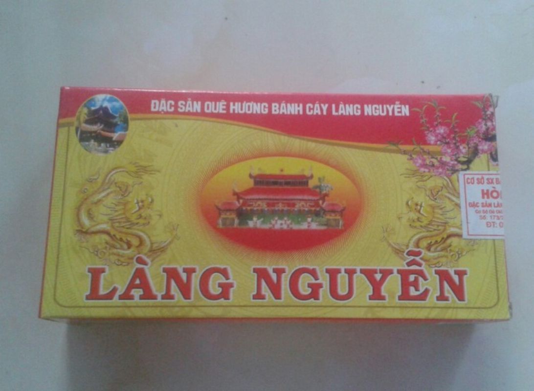 Photograph the cultural allure of Thai Binh’s heritage