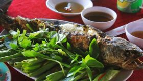 Dive into the rustic flavors of Dong Thap Travel