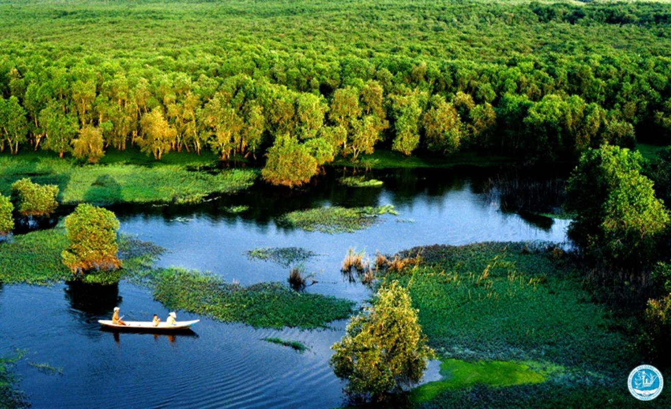 Vi Thuy Melaleuca Forest - "Rừng Tràm Vị Thủy"