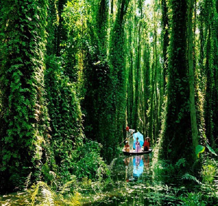 Start your Xeo Quyt Travel with tranquil vistas