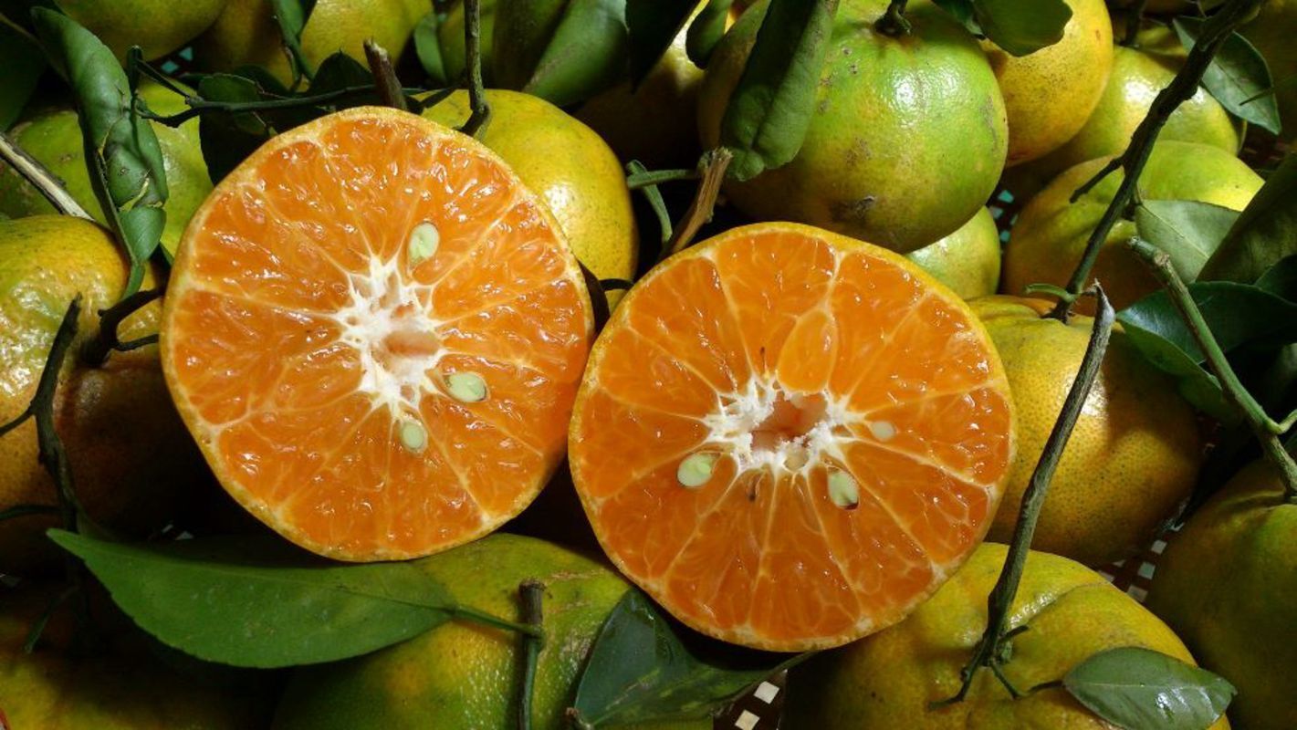 Seize the vibrant spirit of Hau Giang Travel