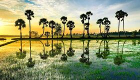 An Giang Travel Guide: Explore Chau Doc and Mekong Delta’s Vibrant Culture