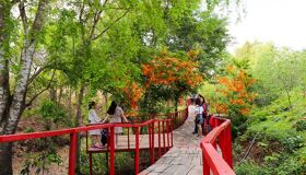 Dive into the authentic charm of Buon Ma Thuot Travel