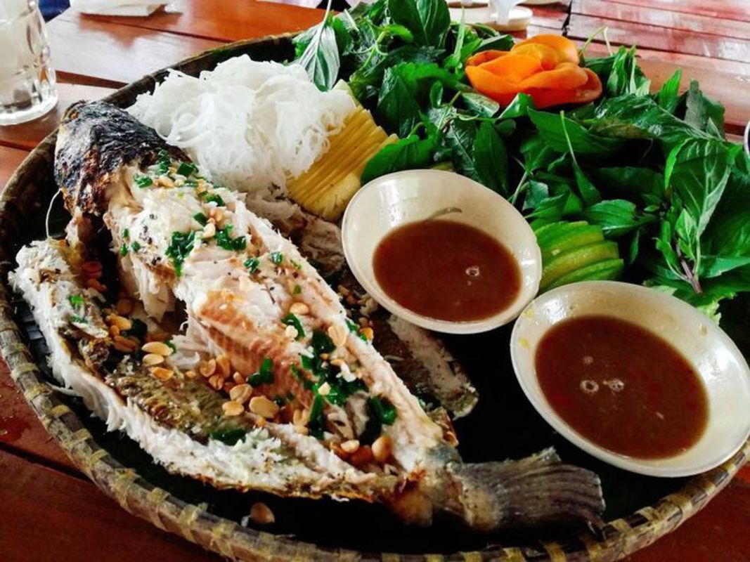 Experience Dong Thap Tours with sustainable adventures