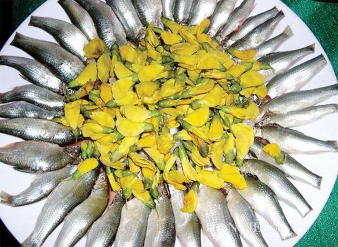 Hotpot with Linh Fish and Cork Flower "Lẩu cá Linh với bông Điên Điển"
