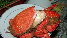 Dive into the culinary charm of Nha Trang Travel