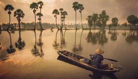 Dive into the biodiverse charm of Tra Su’s waterways