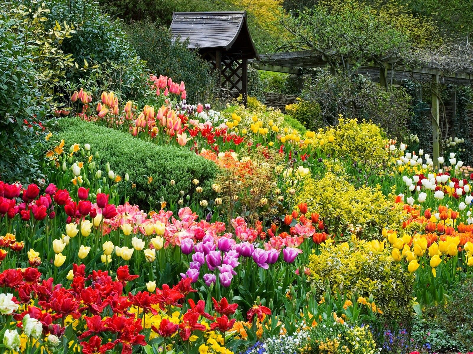 Capture the romantic beauty of Da Lat’s eternal spring