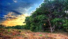 Dive into the tranquil charm of Banlung Travel