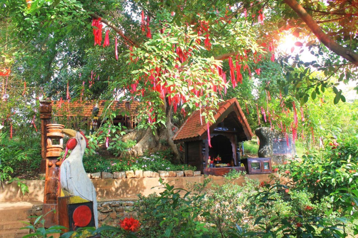 Capture the wild beauty of Dak Lak’s eco-gem