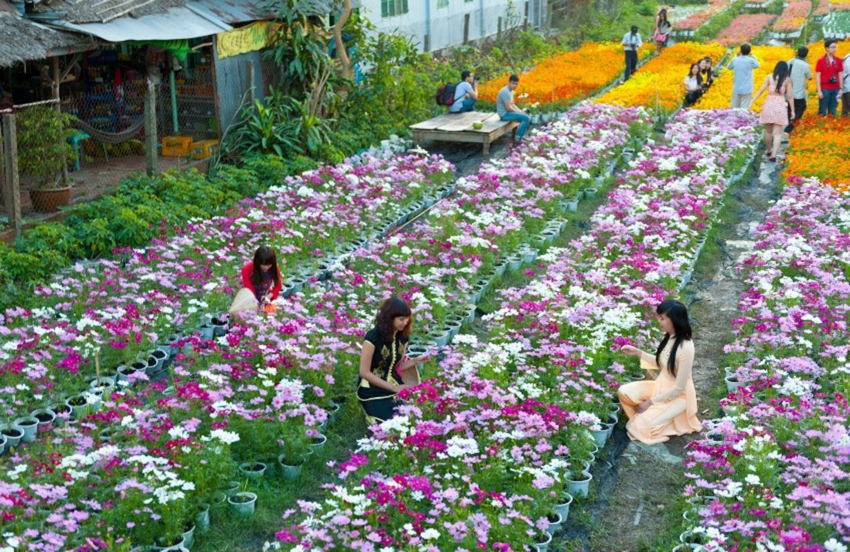 Tan Quy Dong Flower Village
