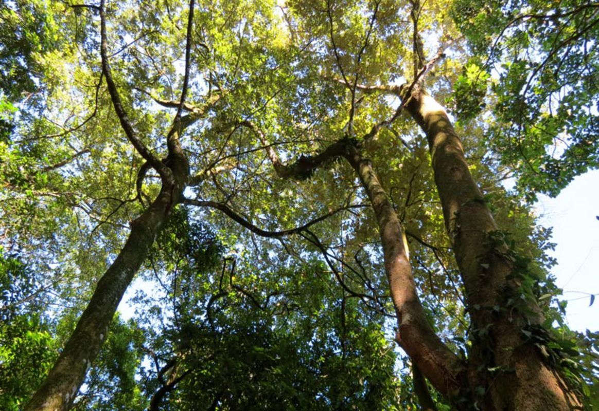 Photograph the adventurous allure of Hanoi’s heritage