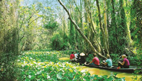 Dong Thap Tien Giang Vietnam