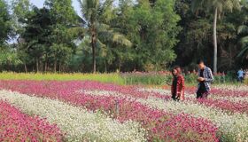 Dive into the serene charm of Mãn Đình Hồng Travel