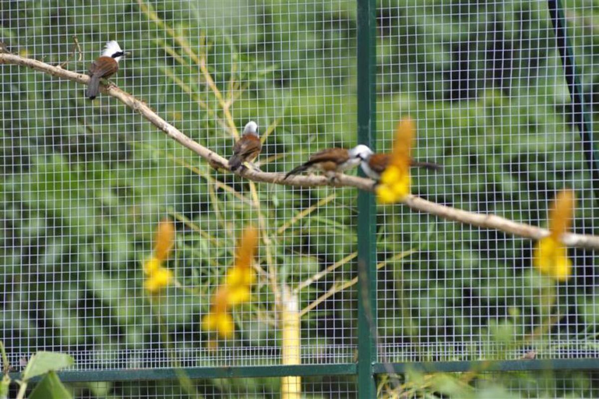 Experience Nha Trang Tours with sustainable adventures