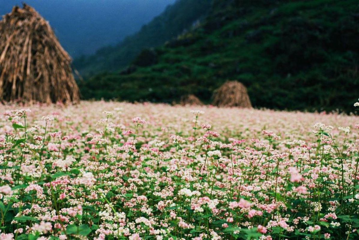 Capture the sustainable charm of Tuyen Quang’s eco-tourism