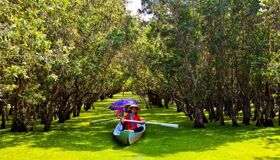 Start your Long An Travel with tranquil vistas