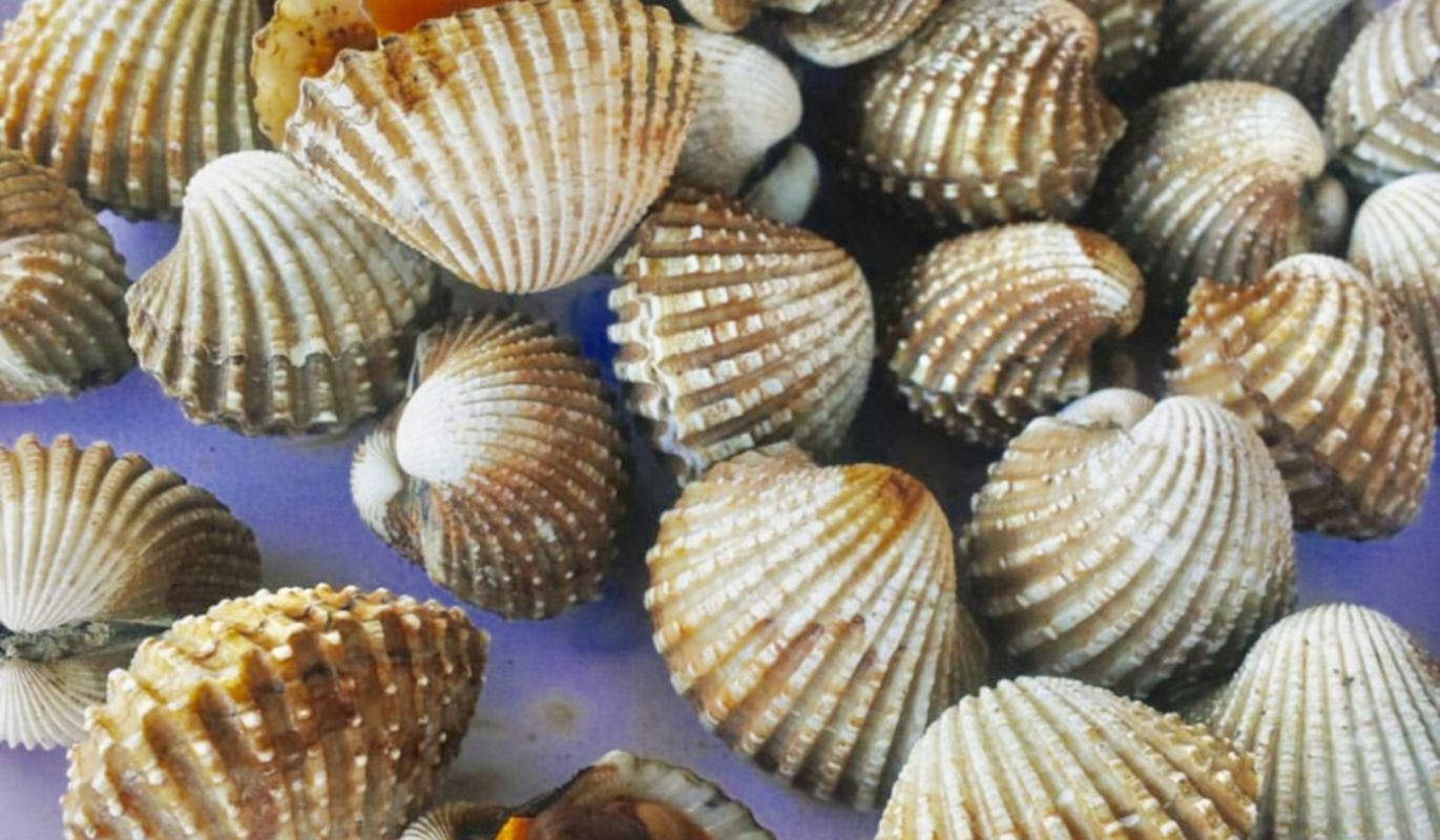 Dive into the flavorful charm of Dak Lak Travel