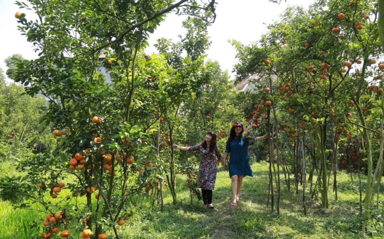 Start your Dong Thap Travel with tranquil vistas