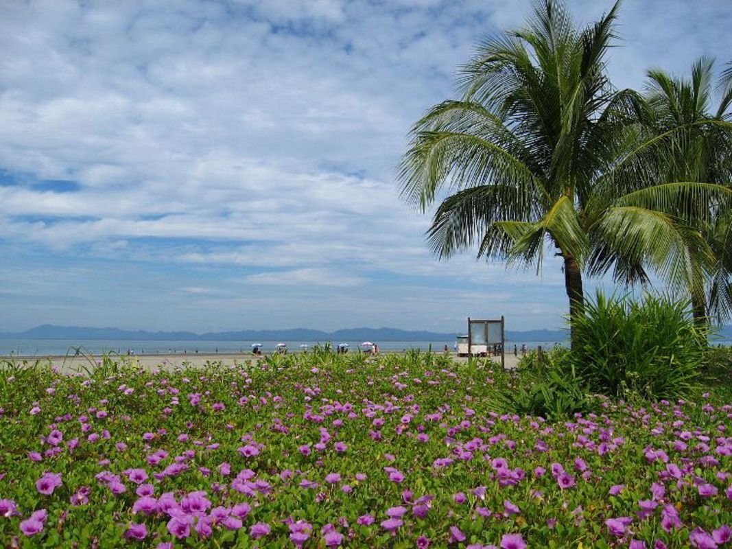 Seize the vibrant spirit of Thai Binh Travel