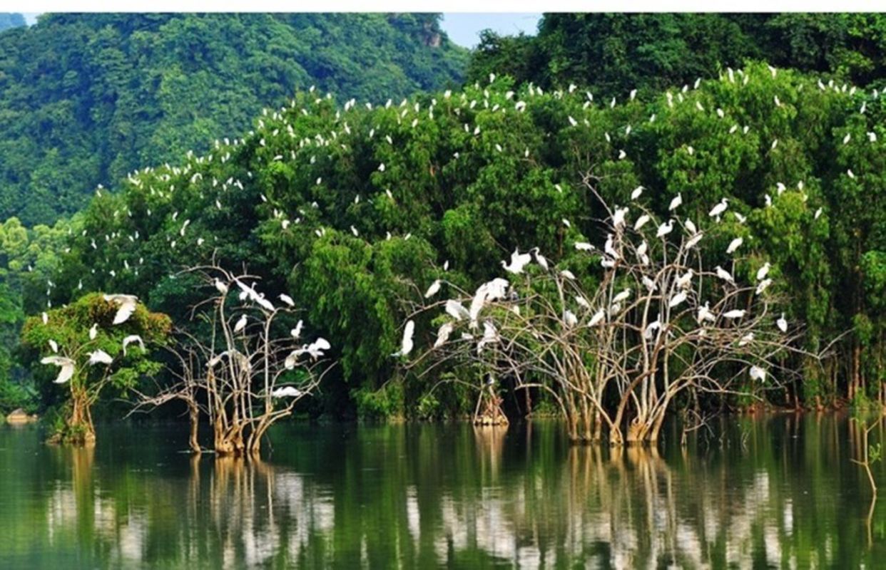 Start your Tra Vinh Travel with tranquil vistas