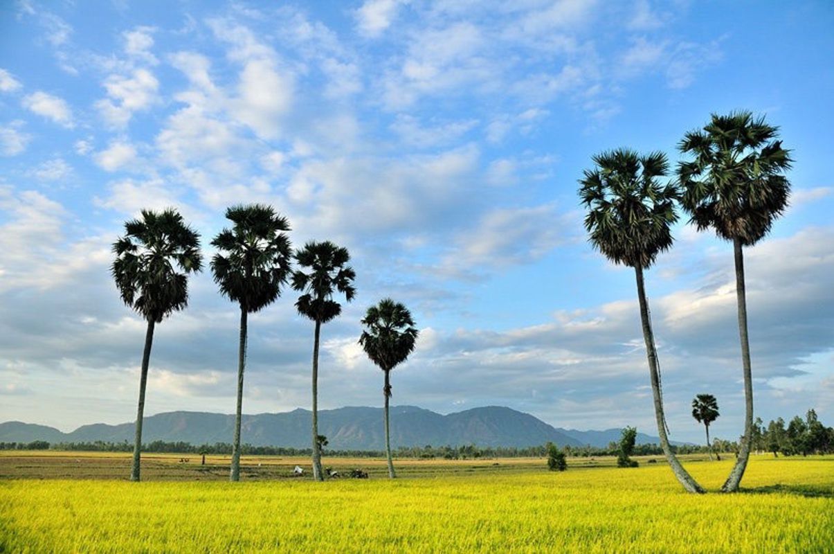 Start your An Giang Travel with tranquil vistas