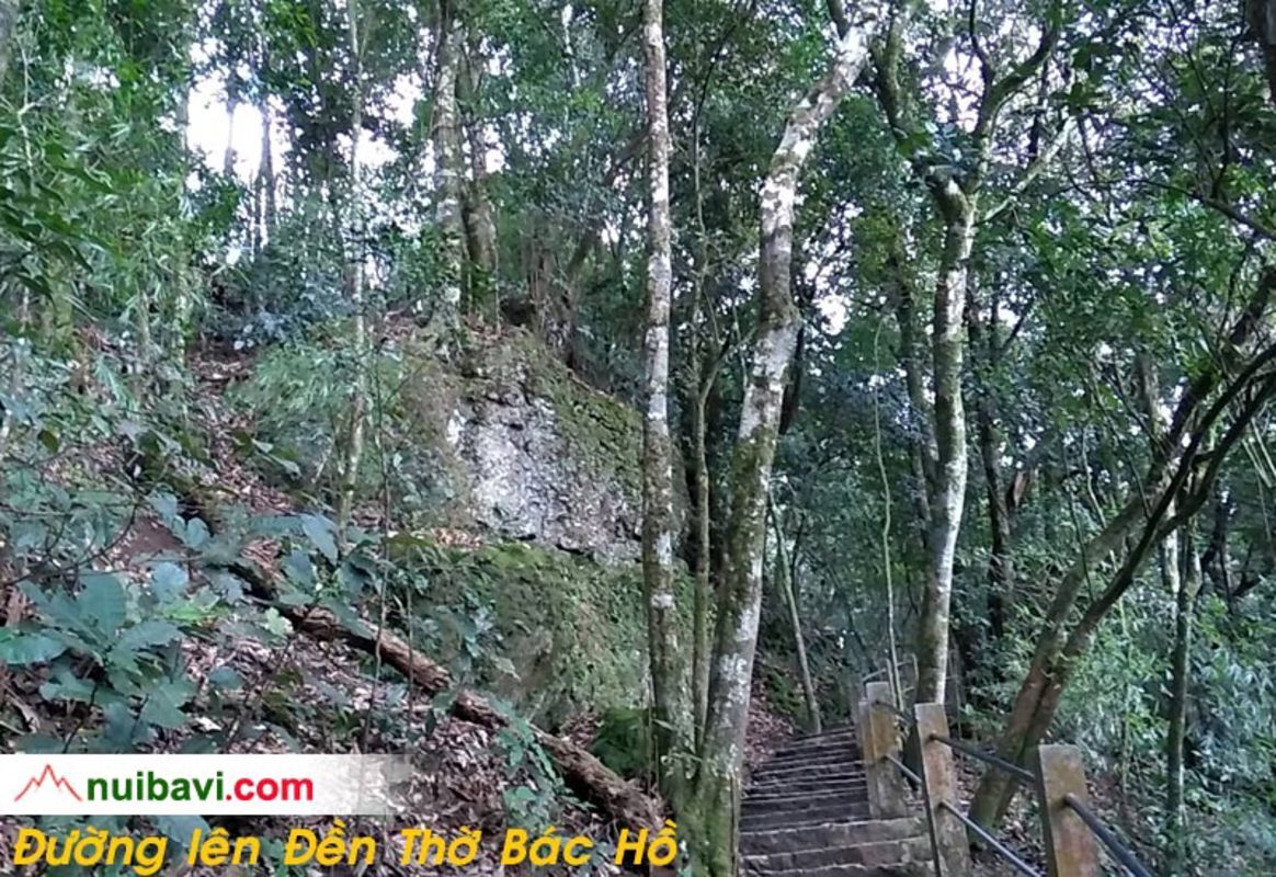 Capture the sustainable charm of Hanoi’s ecotourism