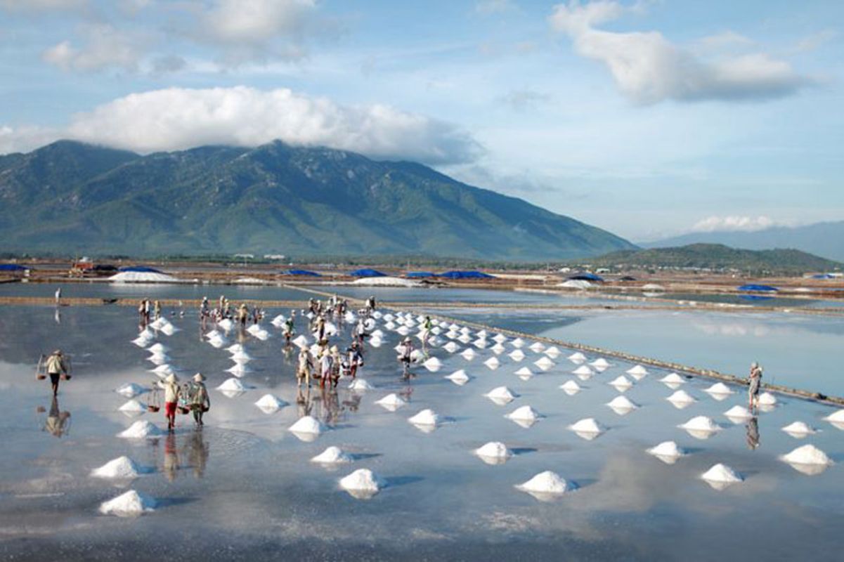 Experience Ca Mau Tours with sustainable adventures