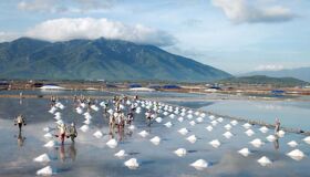 Experience Ca Mau Tours with sustainable adventures