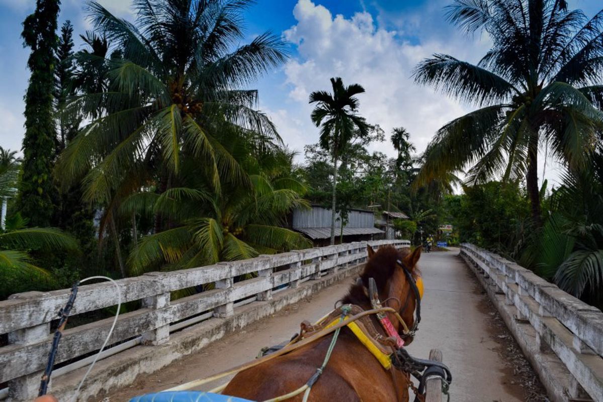 Photograph the authentic allure of Tien Giang’s heritage