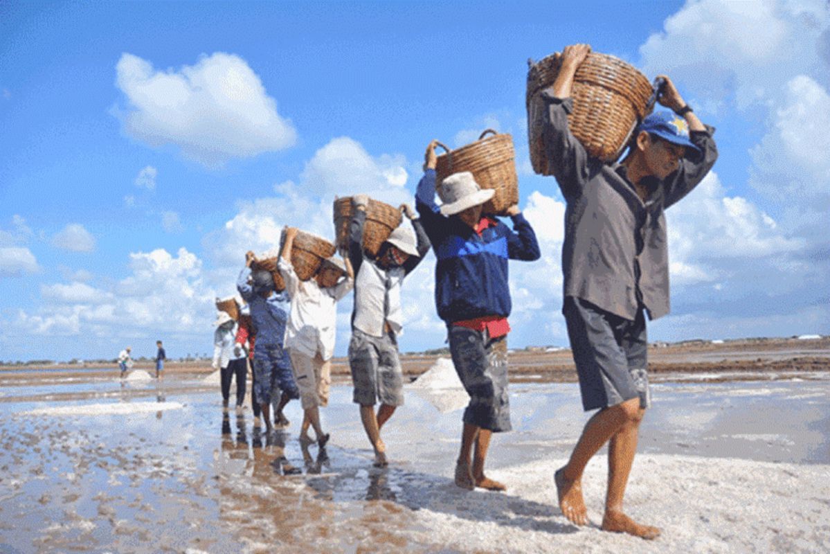 Start your Ca Mau Travel with serene vistas