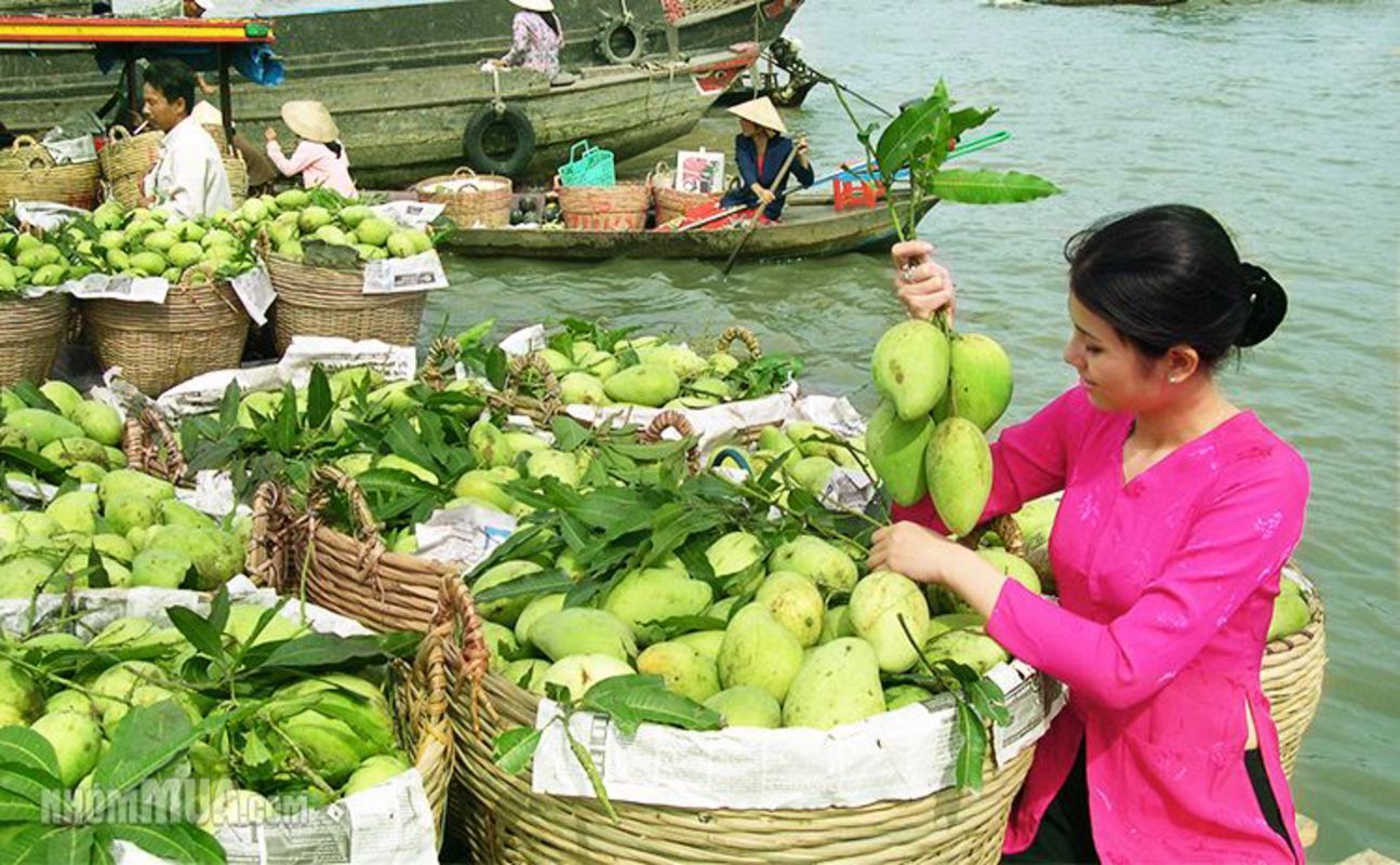 Experience Can Tho Tours with sustainable adventures