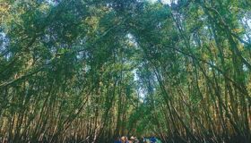 Natural Wonders of An Giang: Chau Doc’s Top Eco-Attractions & Tours