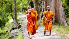 Learn Cambodia’s cultural legacy with expert insights