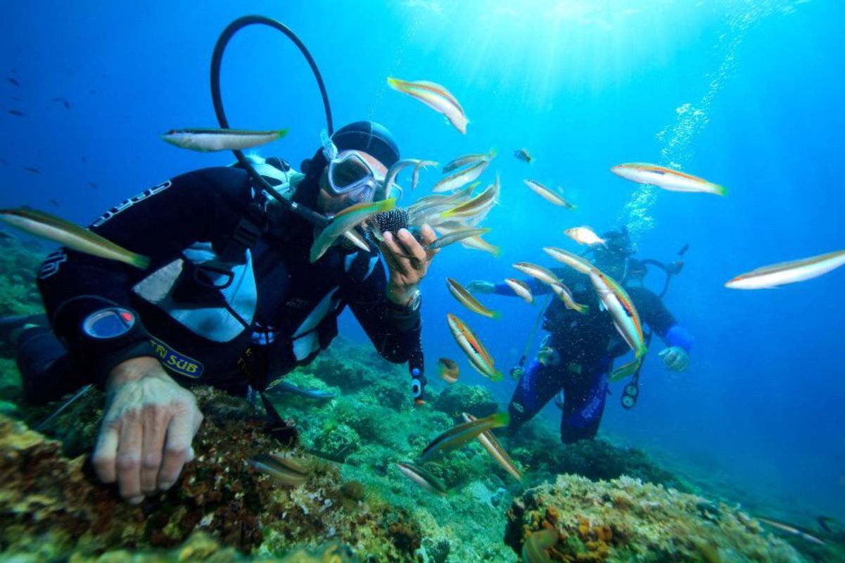 Seize the tranquil spirit of Phu Quoc Travel