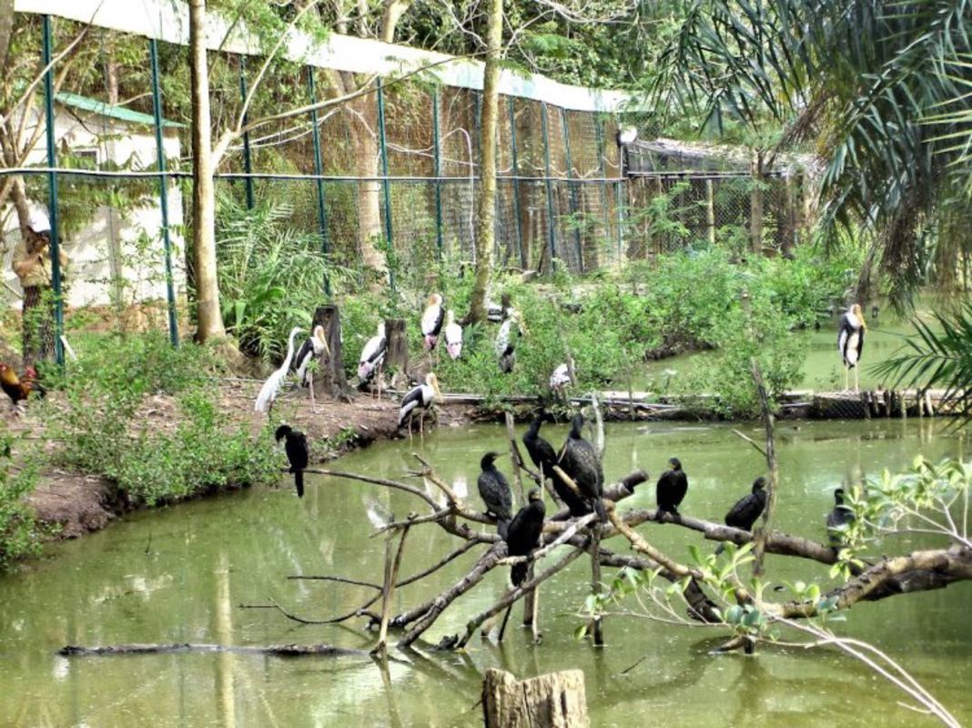 Capture the vibrant essence of Ca Mau’s natural gem