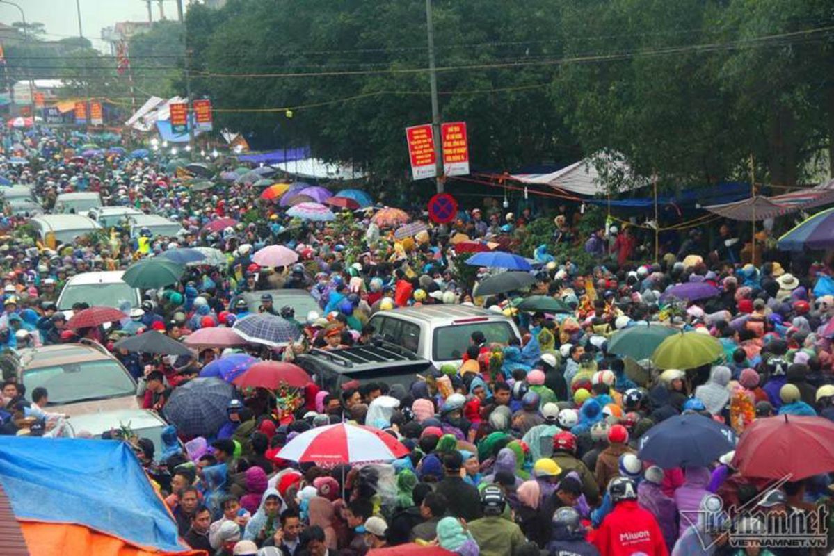 Learn Ninh Binh’s heritage with expert insights