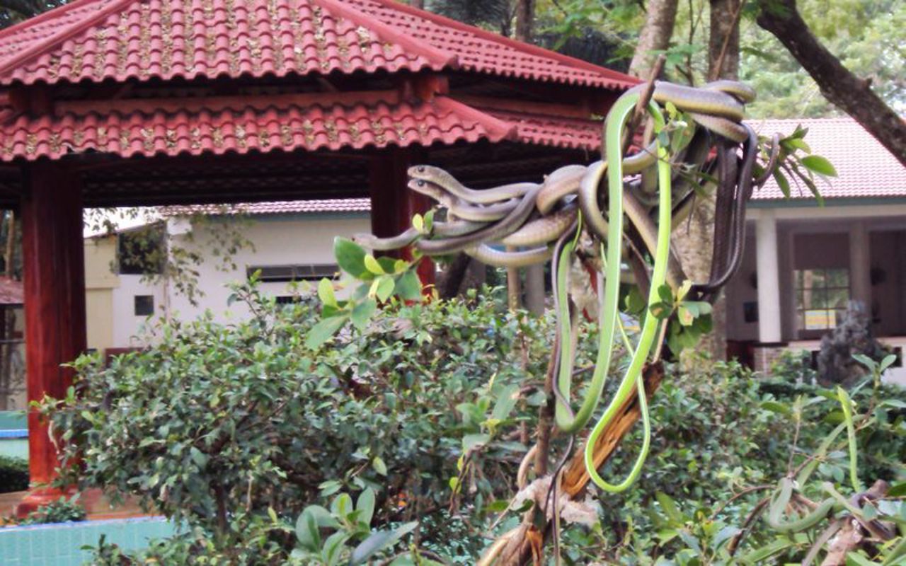 Capture the authentic charm of Tien Giang’s eco-tourism
